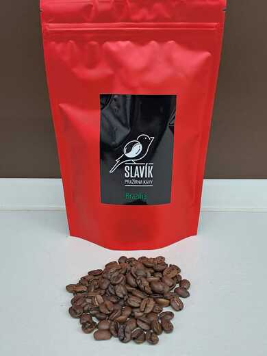 Brazilia Santos SS Fine Cup